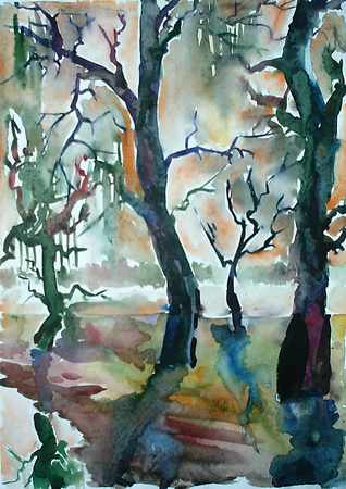shadowed_trees.jpg