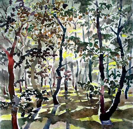 sunny_oak_forest.jpg