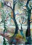 shadowed_trees.jpg