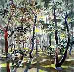sunny_oak_forest.jpg
